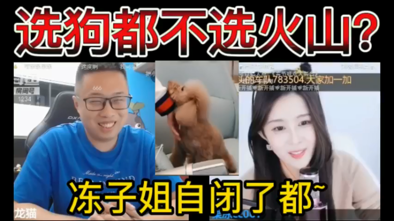 选狗都不选火山？冻子姐自闭了都~