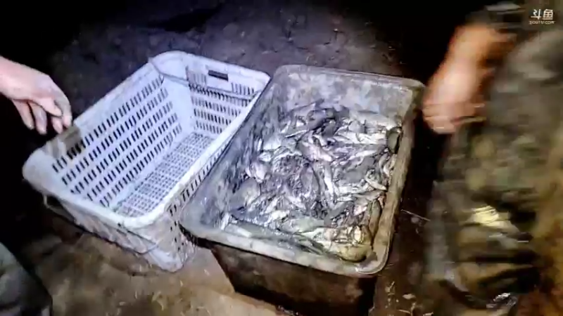 【2021-11-29 00点场】洪湖小肖：大型野坑抽水中