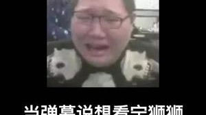 做我的经纪人好像有点费手机？