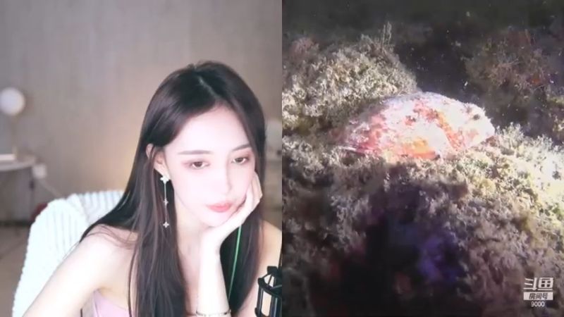 王雨檬_2021_11_06热舞时间_94