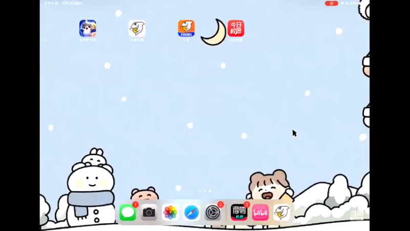 【2021-11-20 15点场】浣熊软糖：沉默的治愈者