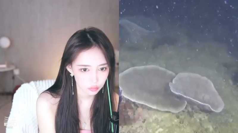 王雨檬_2021_11_06热舞时间_72