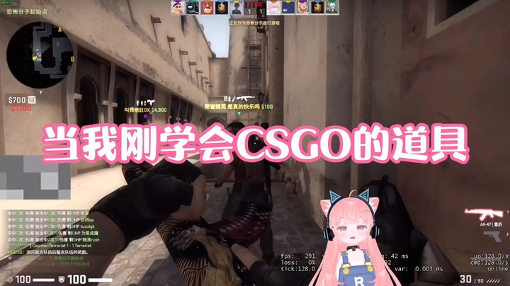 【肉肉】当我刚学会扔CSGO的道具