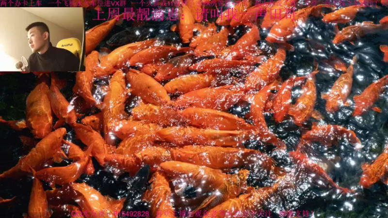 【2021-11-29 12点场】主播世贤：最强画质，极致体验