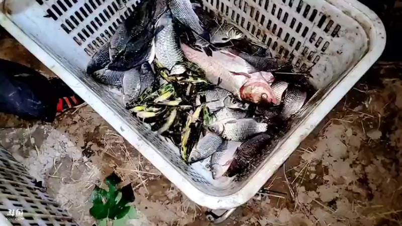 【2021-11-30 18点场】洪湖小肖：大型野坑抽水中