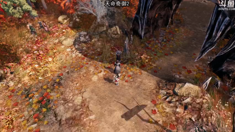 【2021-11-30 21点场】荣耀洋洋：【洋洋】天命奇御2！