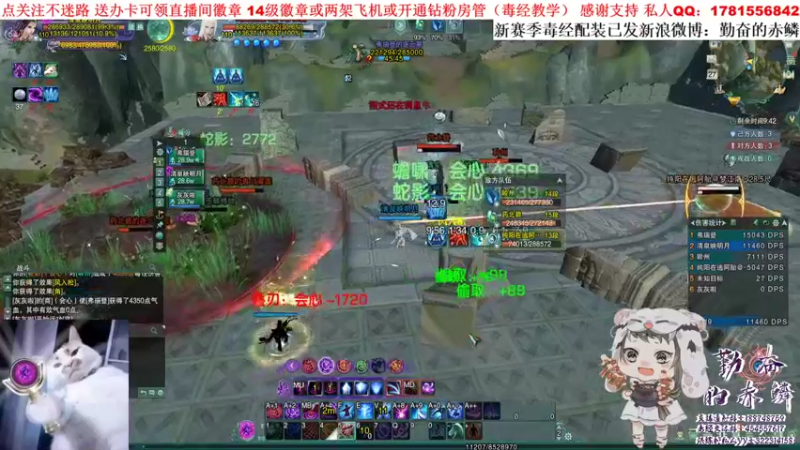 【2021-11-27 19点场】勤奋的赤鳞：【赤鳞】狠狠的散排 狠狠的刷币！