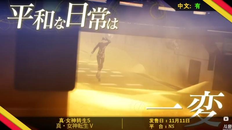 【2021-11-30 20点场】猫叔灬灬：【猫叔】 19点月末总结 一年又快过去了