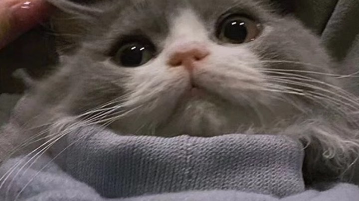 ..