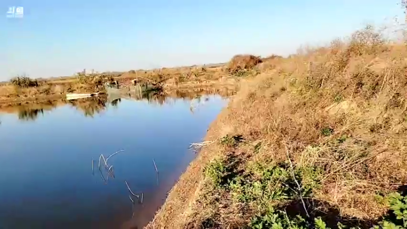 【2021-11-30 16点场】洪湖小肖：大型野坑抽水中