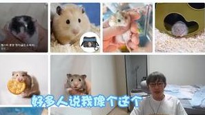 不能说毫无关系，只能说一模一样