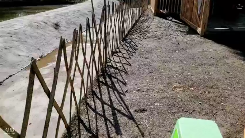 【2021-11-30 12点场】逐梦兄弟：11点不见不散