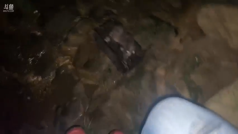 【2021-11-30 20点场】魅力生活i：二师兄30岁生日快乐