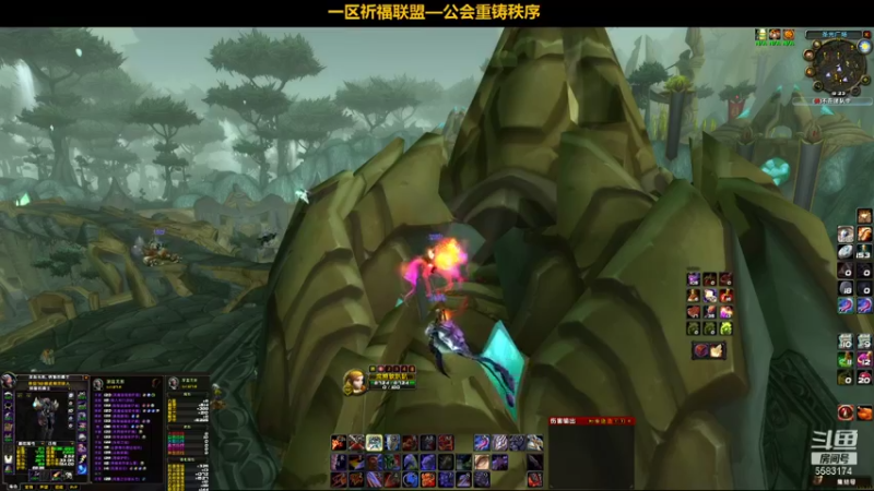 【2021-11-24 19点场】pigofu119：一区祈福联盟：两只凤凰！！~
