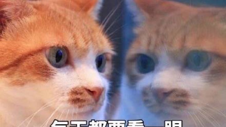 直播录像