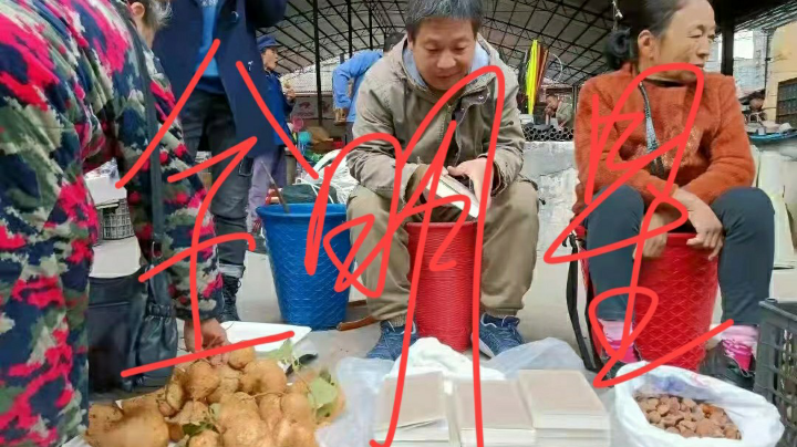 办卡上号。太浪。