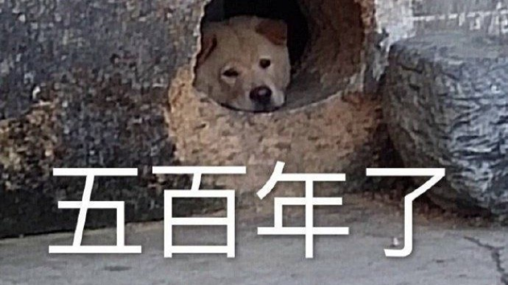 2021-12-01 12点场