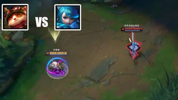 【恶霸提莫】Q技能致盲三秒冷却五秒让灵落娃娃的输出都变成了未命中，没错我就是国服第一提莫