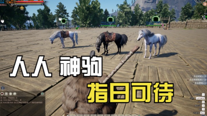 神驹抓捕地点汇集