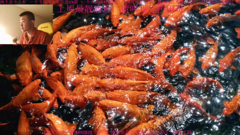 【2021-11-30 15点场】主播世贤：最强画质，极致体验