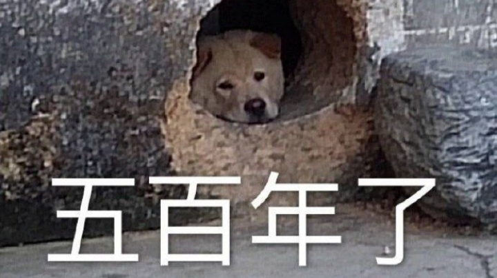 2021-12-01 12点场 3