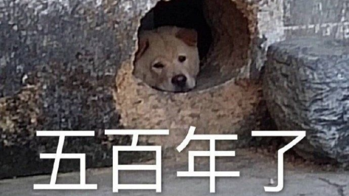 2021-12-01 12点场 2