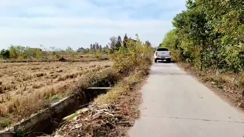 【2021-12-01 13点场】洪湖小肖：基地完善一下