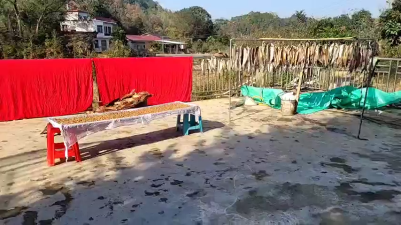 【2021-12-01 10点场】魅力生活i：开心打野快乐美食