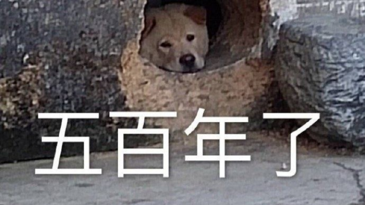 2021-11-30 9点场