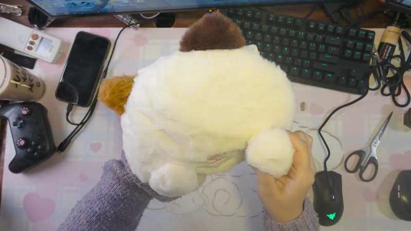 【马里奥赛车】甜心战士的精彩时刻 20211201 10点场