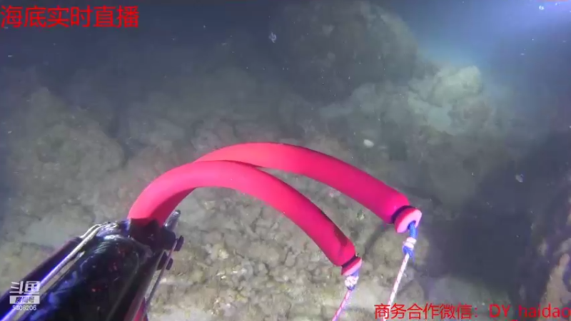 【2021-12-01 20点场】海道丶：探索金海龙