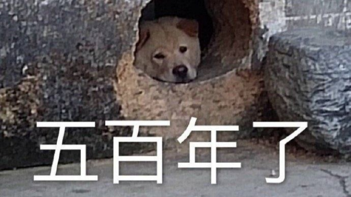 2021-11-30 13点场