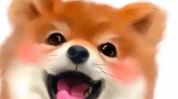 。