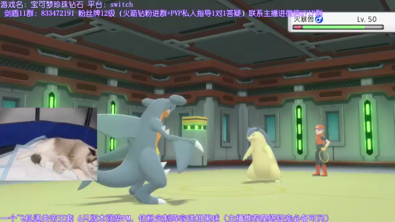 【2021-12-01 23点场】墨羽小祎：闪符直播间，阵容定制爬塔指南