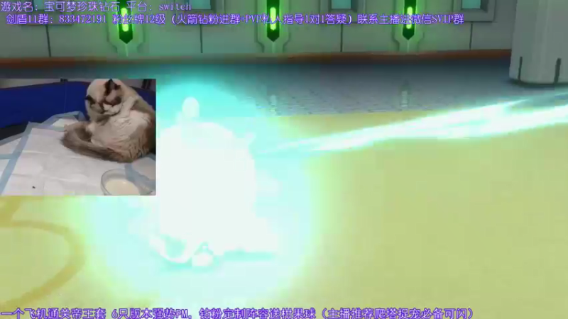 【2021-12-02 01点场】墨羽小祎：闪符直播间，阵容定制爬塔指南