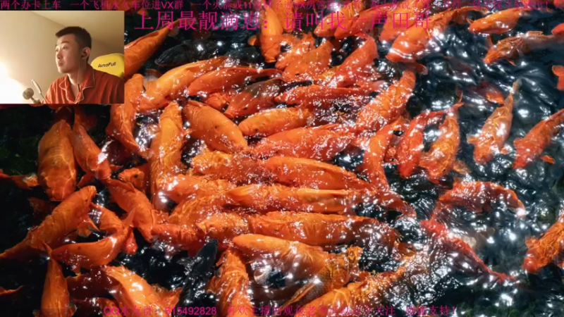 【2021-12-01 14点场】主播世贤：总结，反思，进步，提高！
