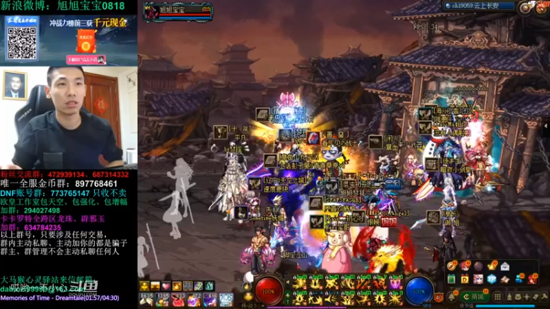 宝哥和他的好朋友 (13)