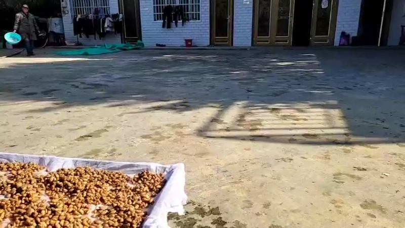 【2021-12-02 10点场】魅力生活i：高妈60岁快乐