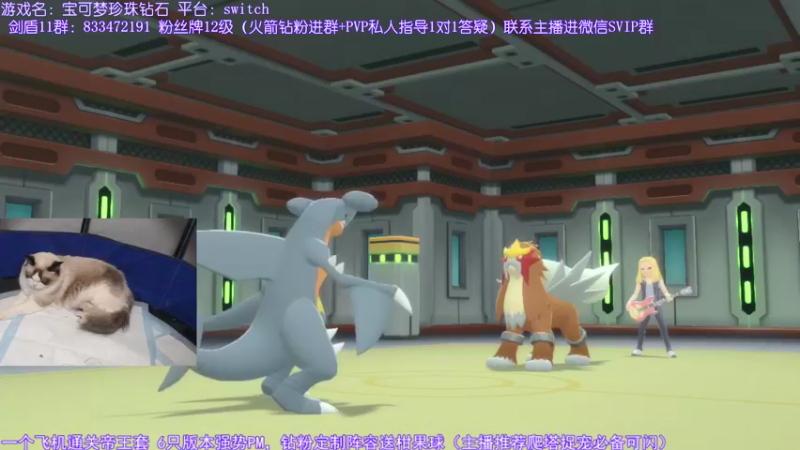 【2021-12-01 21点场】墨羽小祎：闪符直播间，阵容定制爬塔指南