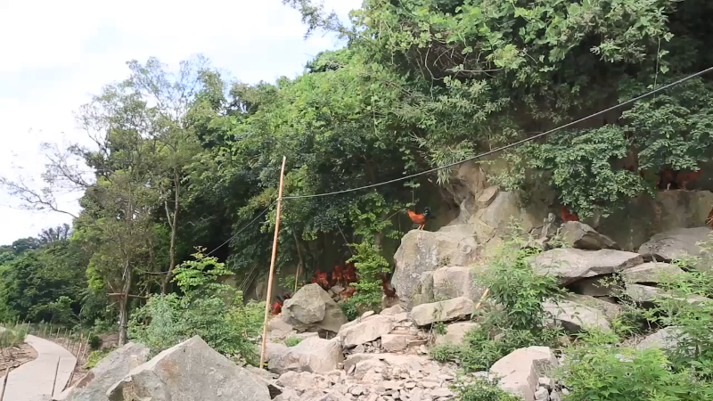 【美食】野食小哥的精彩时刻 20211202 07点场