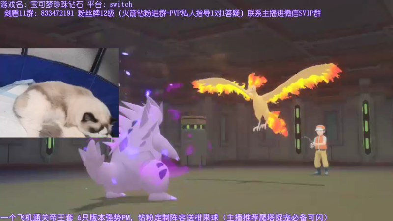【2021-12-01 19点场】墨羽小祎：闪符直播间，阵容定制爬塔指南