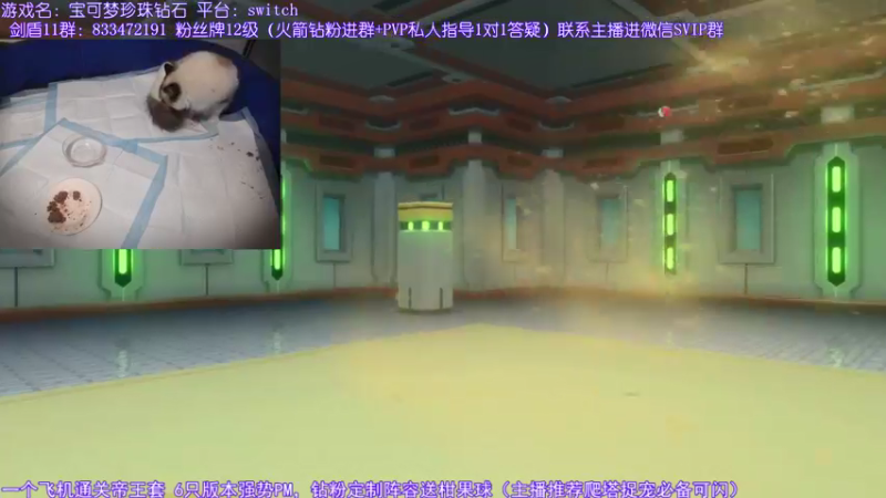 【2021-12-01 17点场】墨羽小祎：闪符直播间，阵容定制爬塔指南