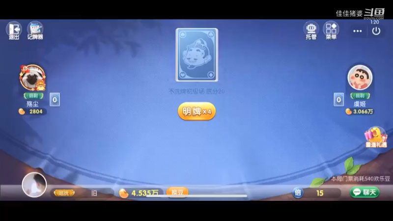佳佳地主28