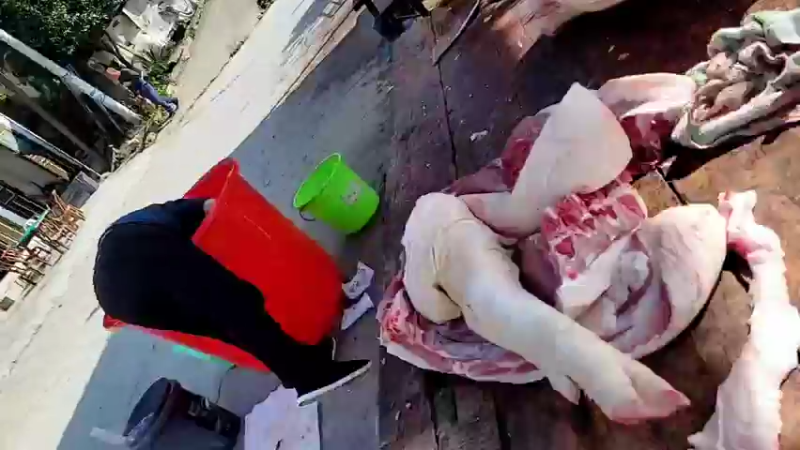 【2021-12-03 13点场】魅力生活i：杀年猪吃杀猪饭