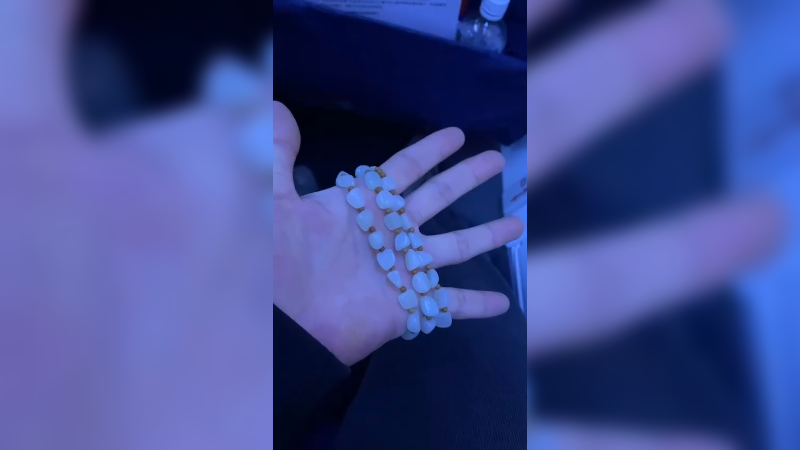 【解说嘟师傅】Vlog.No2广州之行结束了，回上海好好直播啦