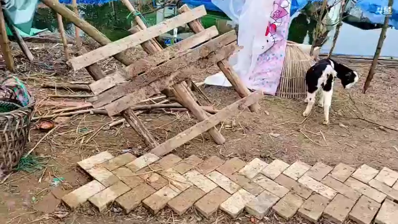 【2021-12-03 16点场】川味箩卜：新的一天新的开始冲冲冲