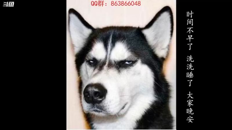 【2021-12-02 19点场】忽忽歪歪：忽忽歪歪 恍恍惚惚  玩游戏