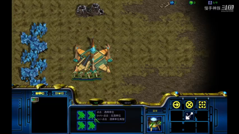 pvp龙骑白漂效果还可以 星际争霸