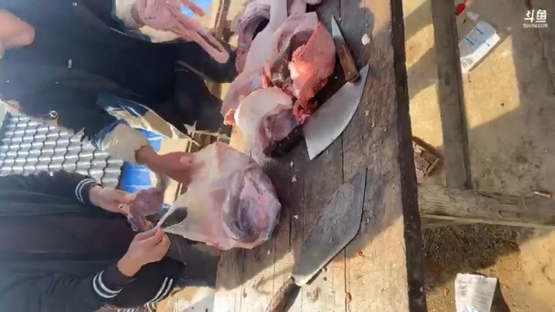 【2021-12-03 14点场】魅力生活i：杀年猪吃杀猪饭