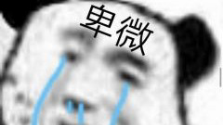 暗黑破坏神不朽冲55级
